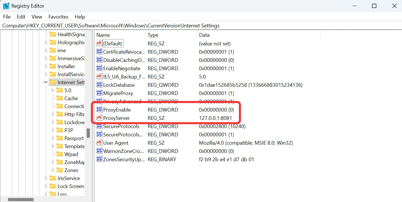 Registry Editor - Internet Settings