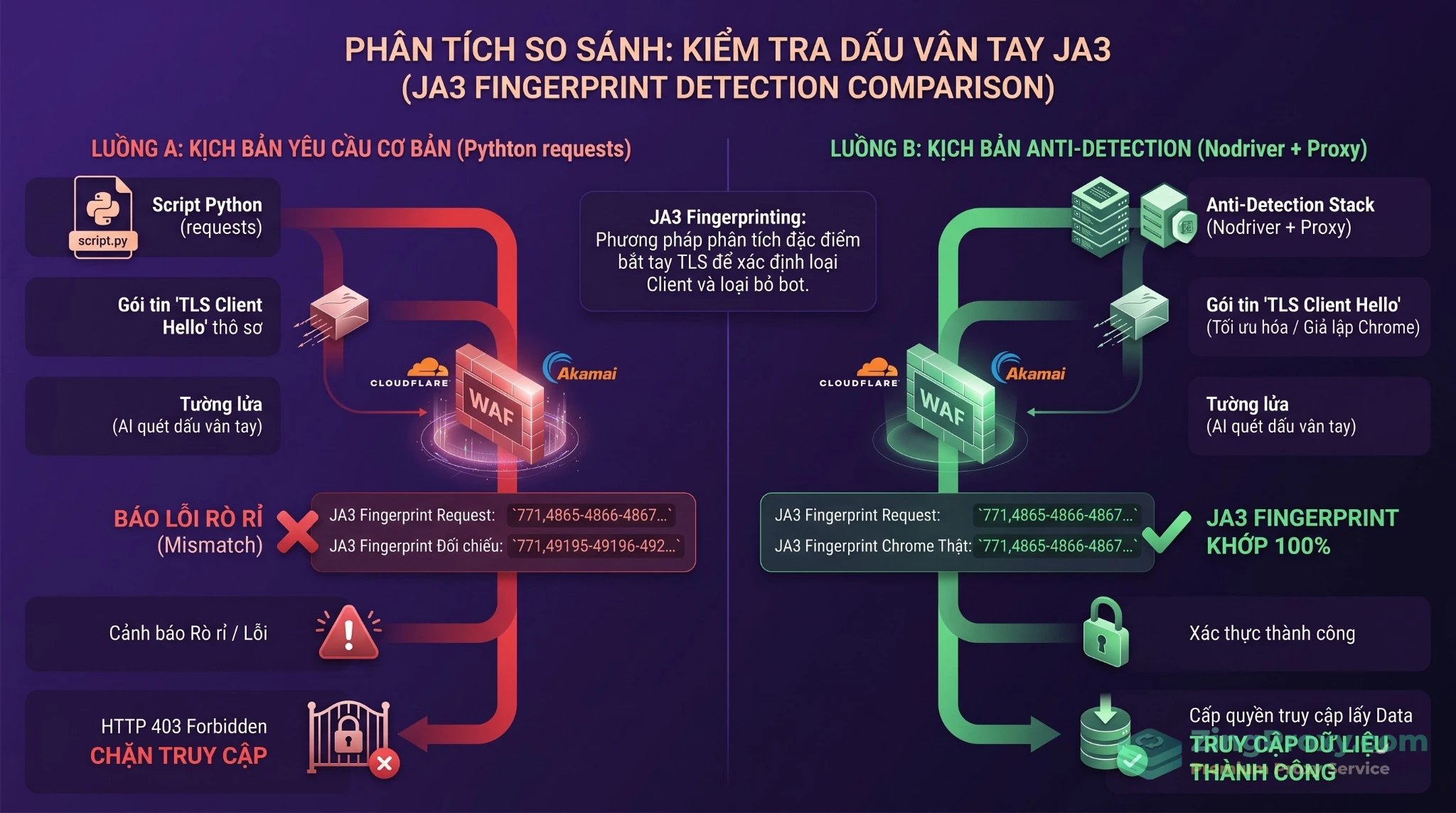 Sơ đồ so sánh TLS Fingerprint của script Python thuần túy và trình duyệt thực khi đi qua hệ thống bảo mật.